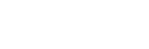 deisgnstager logo wt